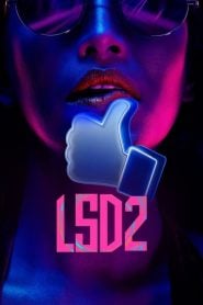 LSD 2: Love Sex aur Dhokha 2 (2024) Hindi HD